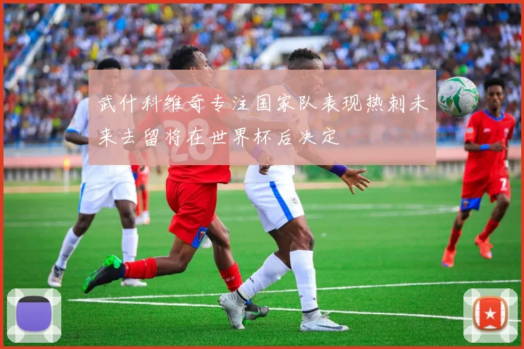武什科维奇专注国家队表现热刺未来去留将在世界杯后决定