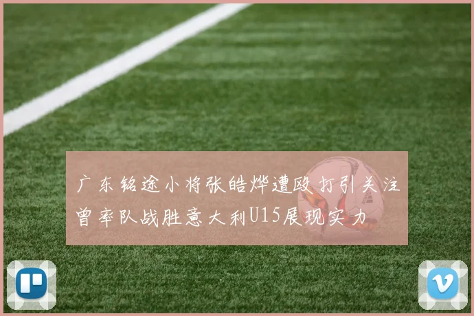 广东铭途小将张皓烨遭殴打引关注曾率队战胜意大利U15展现实力